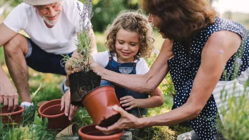 Família cuidando de plantas