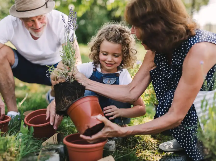 Família cuidando de plantas