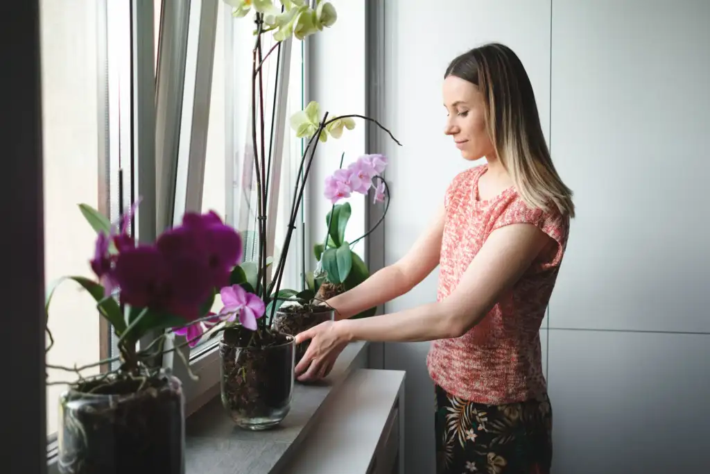 mulher arrumando vaso de orquídea