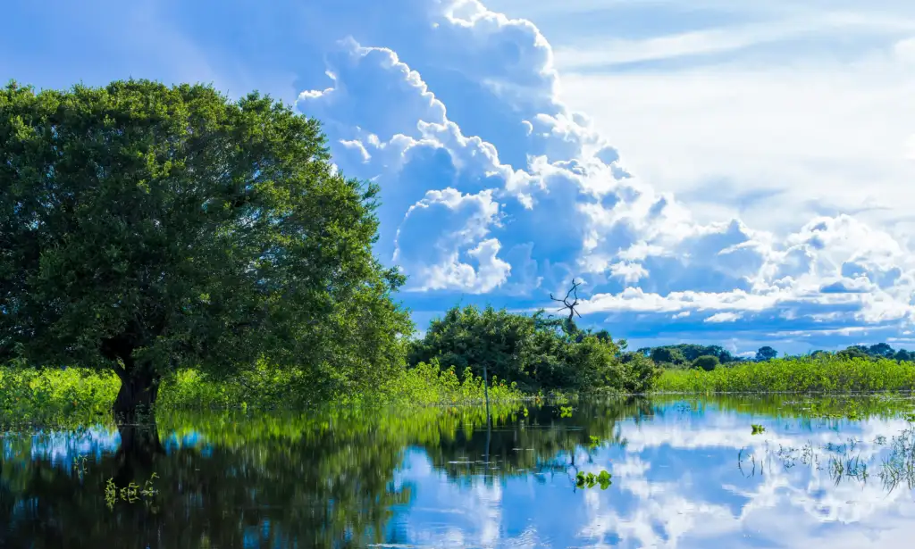 pantanal destinos para acampar