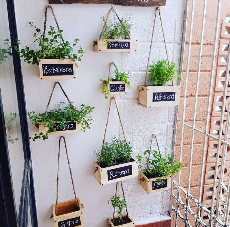 jardim pequeno personalizado